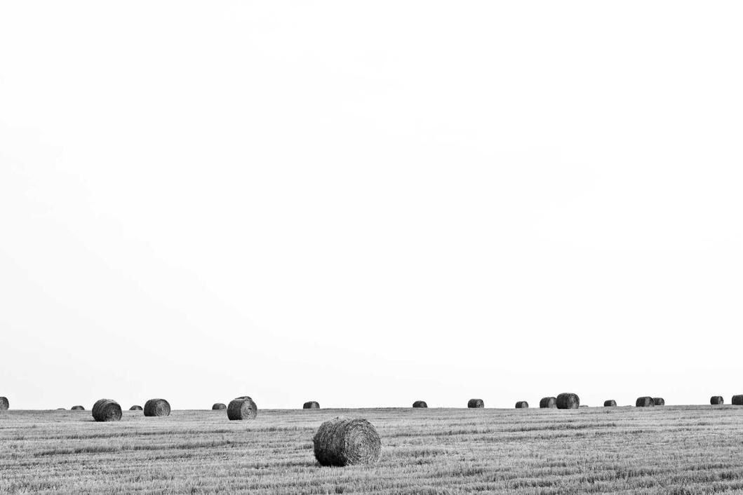 Aspernatur ab vel vel enim beatae exercitationem